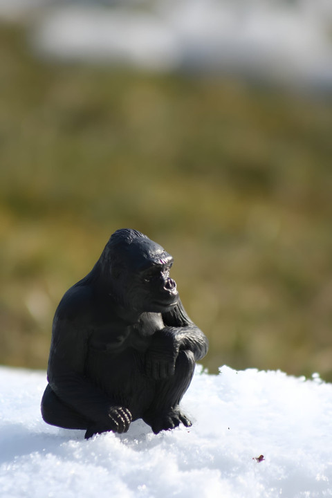 Gorilla in Relaxed Mood Mobile Wallpaper