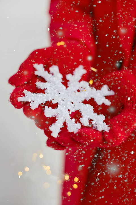 Icy Snowflake Magic Picture