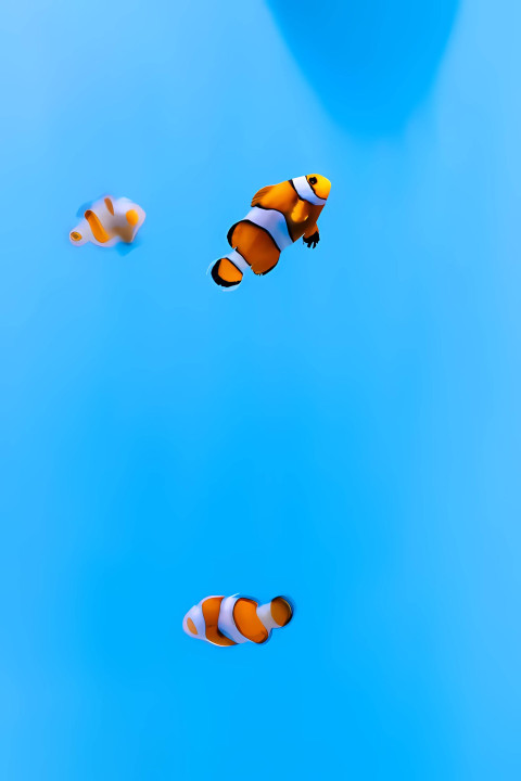 High-Resolution Fish Wallpaper for Every Screen