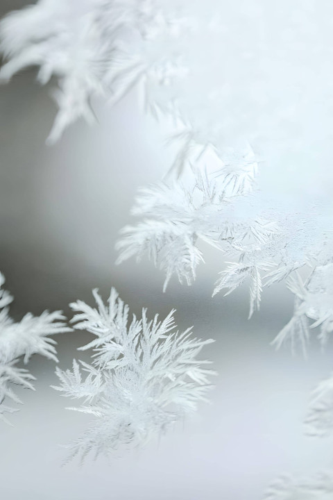 Frosty Snowflake Spark Image