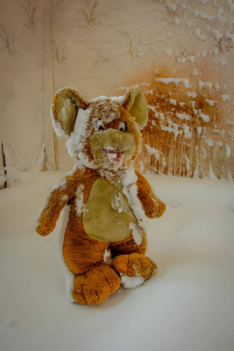 pexels 79376109 8722667 (Medium)