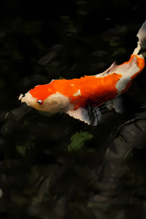 Stunning Fish Wallpaper for Nature Lovers Homes