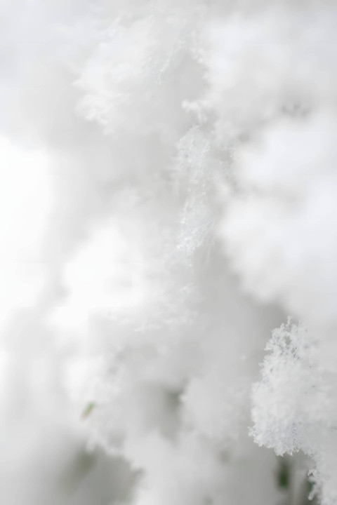 Snow Crystal Shine Image