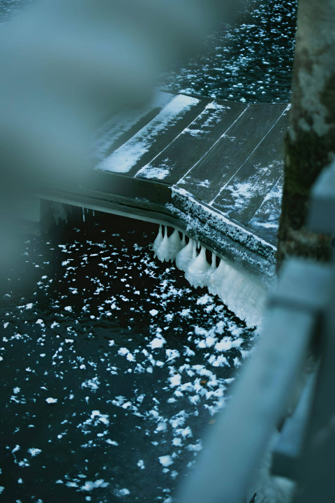 Snow Crystal Art Image