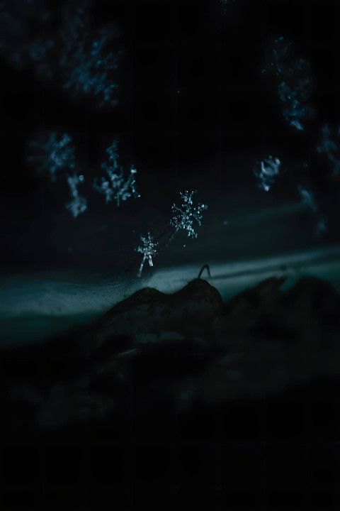 Snowflake Frost Glow Photo