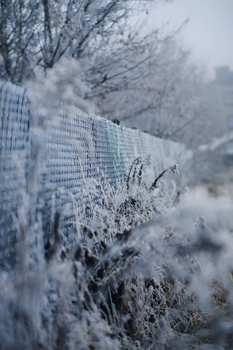 Snowflake Winter Bliss Photo