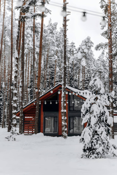 Frosty Snowflake Pattern Photo