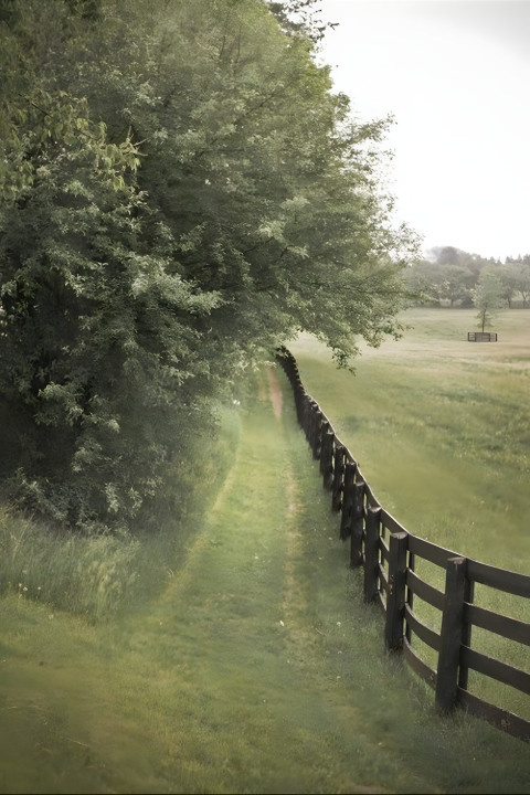 Leafy Sage Green Mobile Background