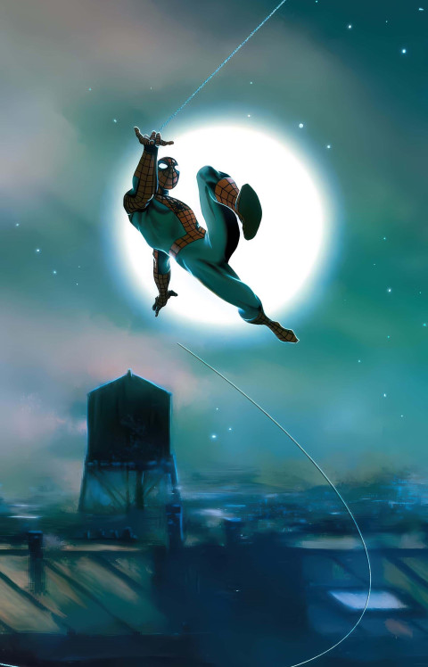 Spiderman in City Moon Night View HD Image