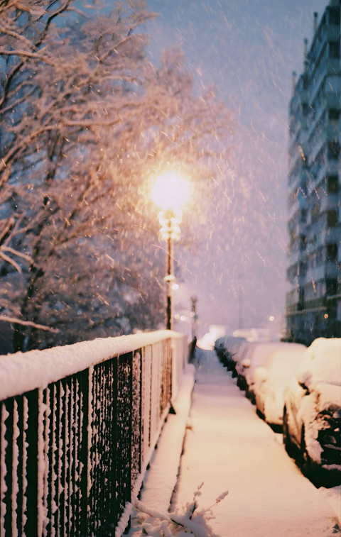Icy Snowflake Dream Wallpaper
