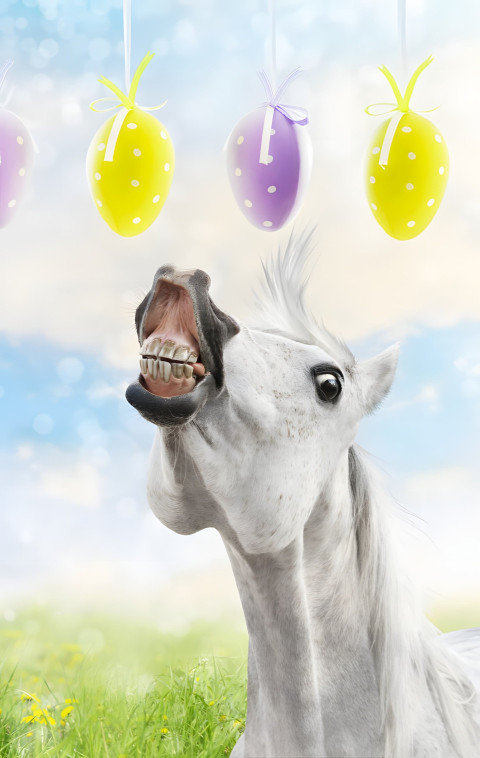 Goofy Ahh Mobile Wallpaper to Make Your Phone Fun