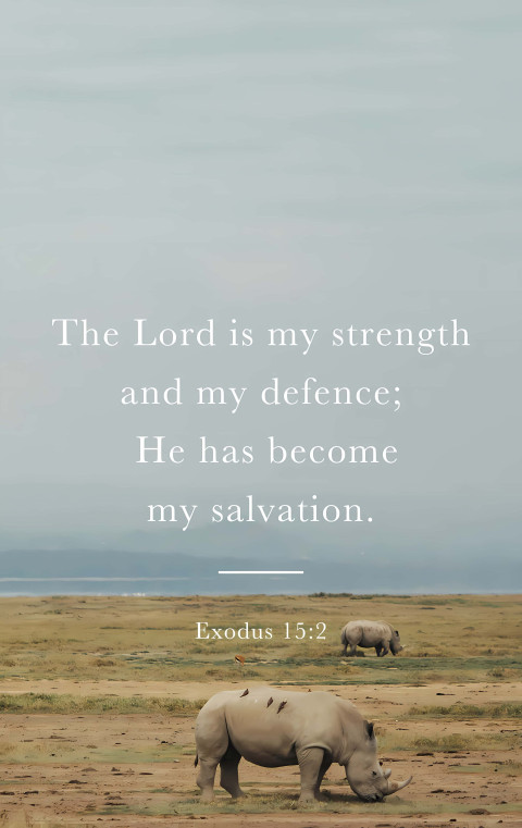 Bible Verse Photo for Daily Devotion