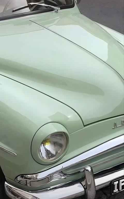 Light Sage Green Background HD