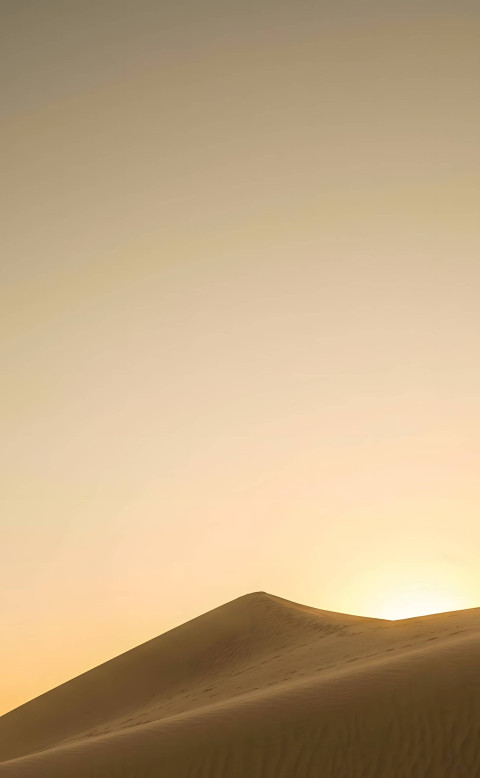 Sunlit Desert Landscape for iPhone Display
