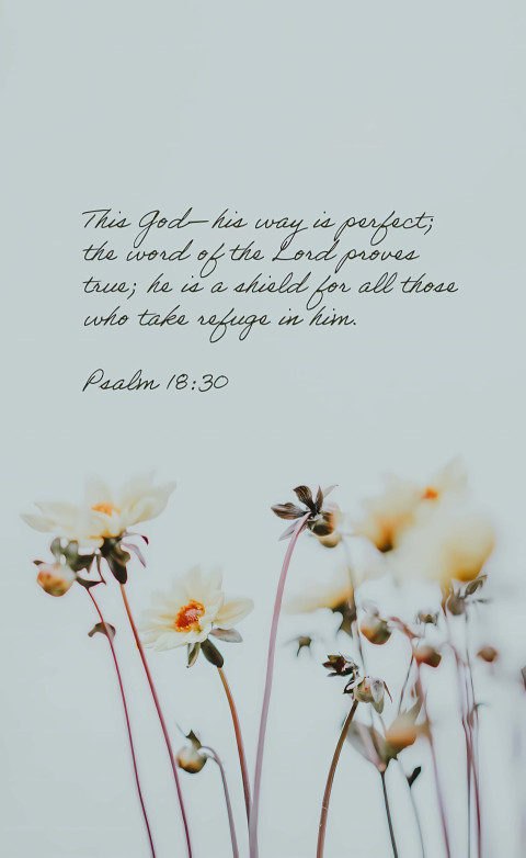 Daily Bible Verse Picture to Uplift Your Faith