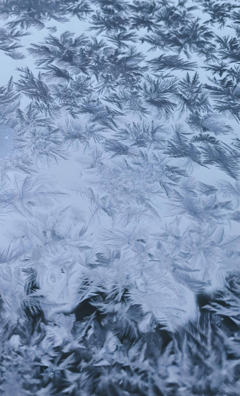 Frosty Snowflake Art Photo