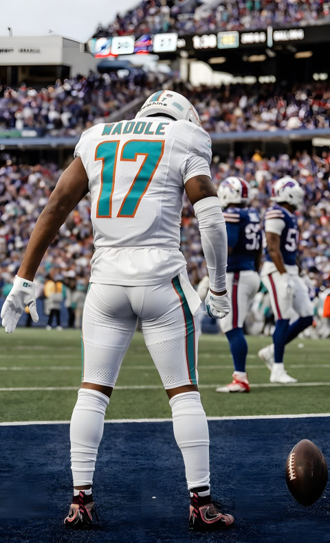 Miami Dolphins Image to Enhance Your Device