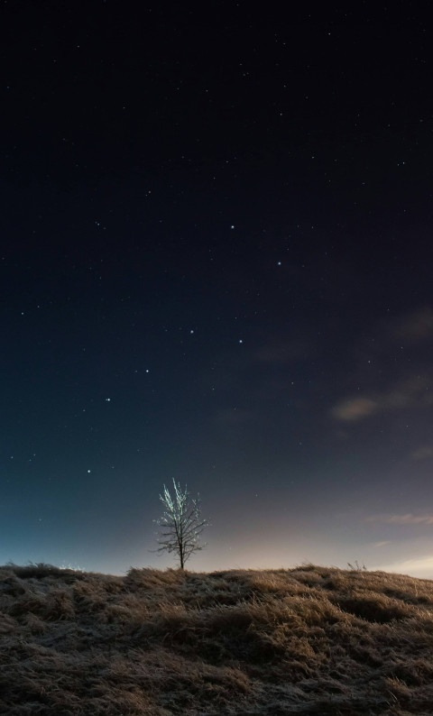 Night Sky with Meteor Shower Image