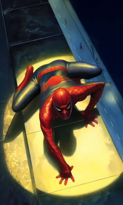 Spiderman in Cool Suit Design for Your Device Background