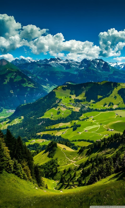 Cinematic Scene Mobile Background