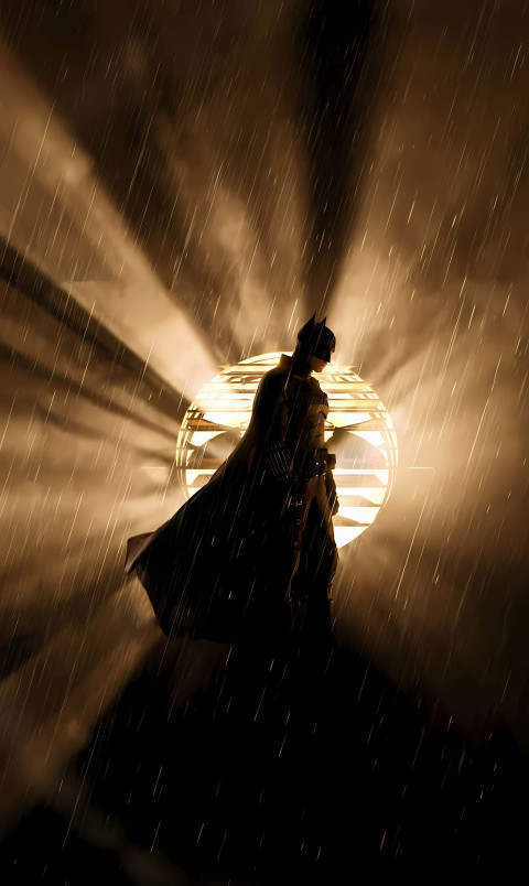 The Dark Knight Vigilante Wallpaper For Mobile