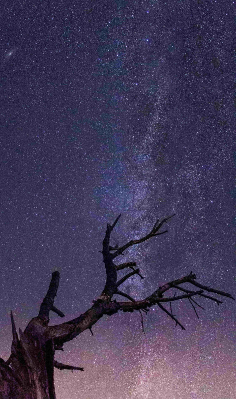 Northern Lights Phone Wallpaper