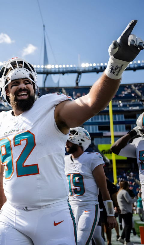 Miami Dolphins Picture to Decorate Your Mobile