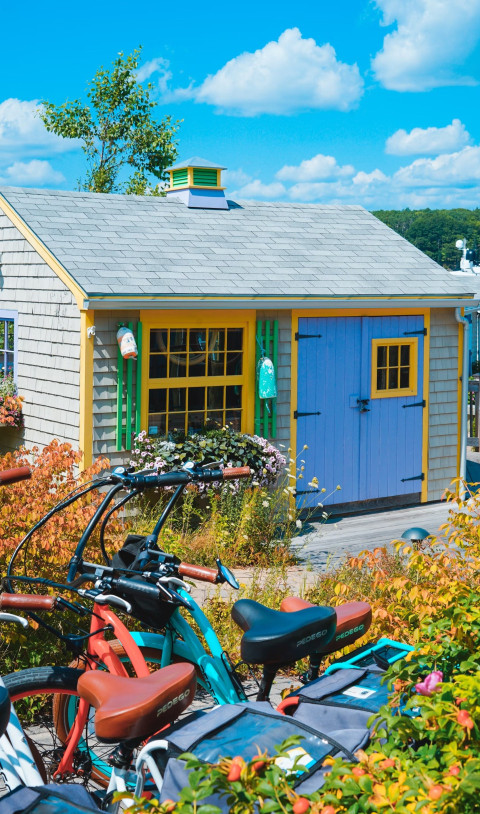 Bright and Colorful Home Mobile Wallpaper for a Fresh Look