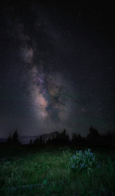 Heavenly Night Sky Wallpaper