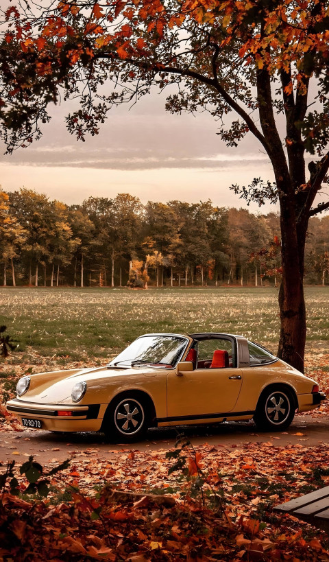 Download Stunning Vintage Porsche 911 HD Car Photo
