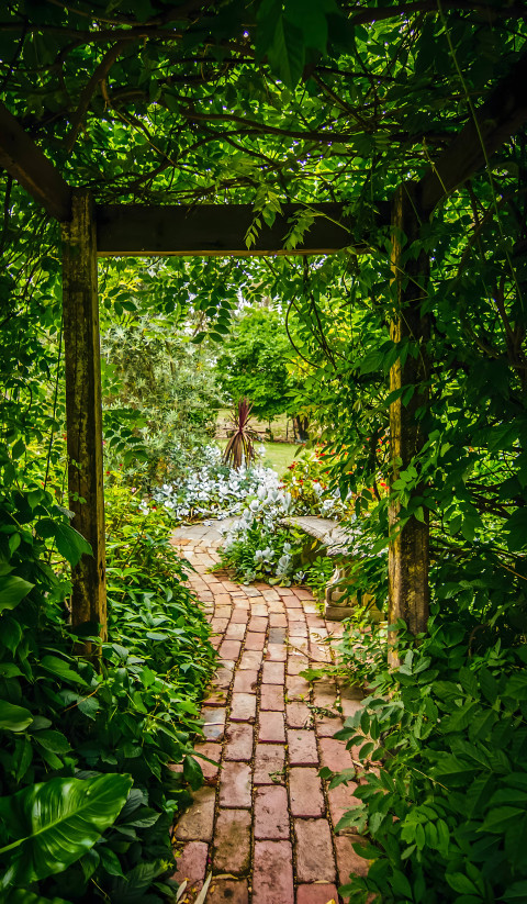 Stunning Green Botanical Garden Mobile Wallpaper