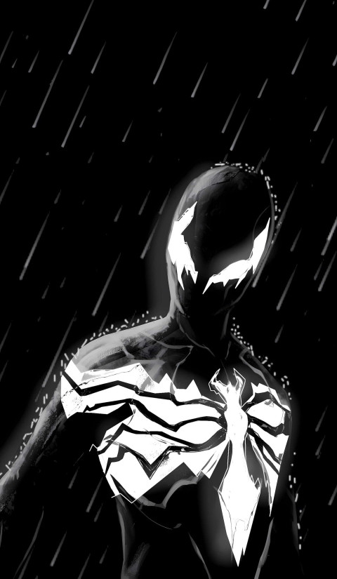 Spiderman Black Suit Design in HD Background