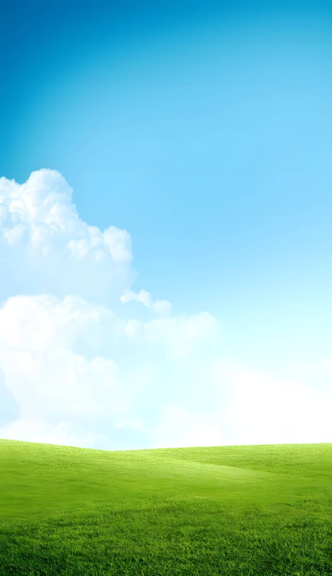 Sunlit Grass Field Wallpaper for Phones