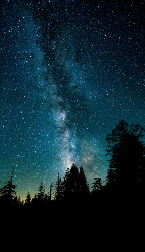 Night Sky with Milky Way Wallpaper