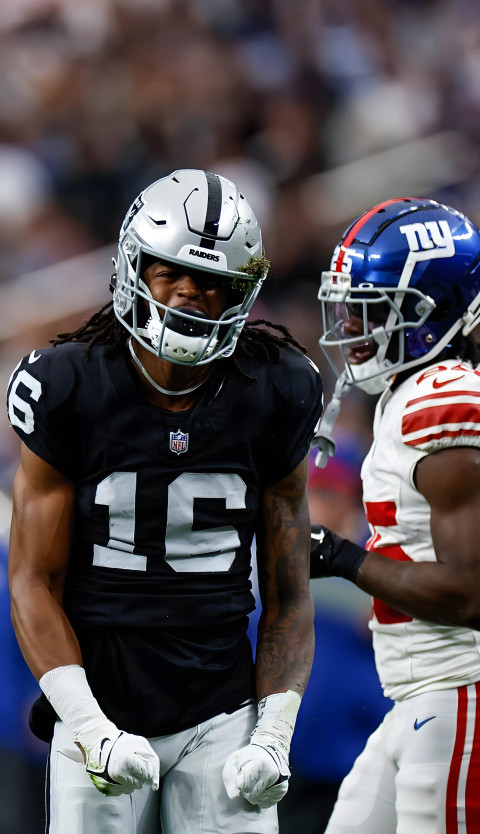 Dynamic Raiders Wallpaper with Team Spirit 4K for Mobile