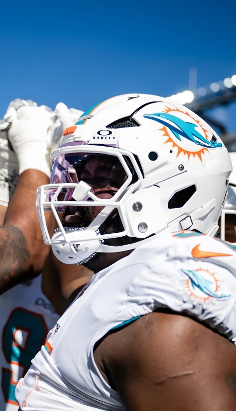 Miami Dolphins Wallpaper for Hardcore Fans