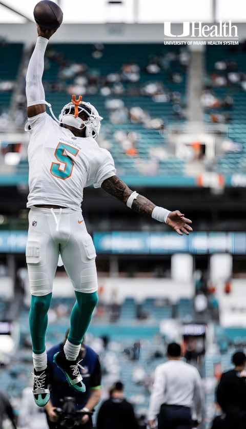 Free Miami Dolphins Image for Your Mobile Device