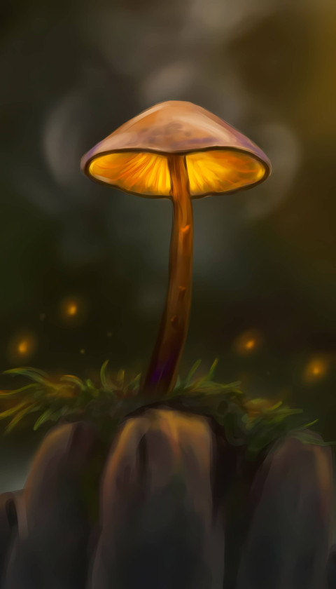 Adorable Mushroom Mobile Phone Wallpaper for Your Screen