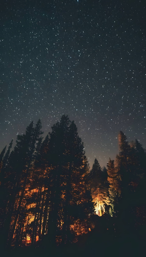 Fall Aesthetic Wallpaper for Home Screen