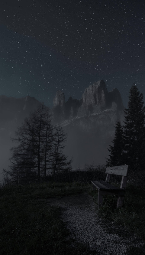 Night Sky with Stars Wallpaper