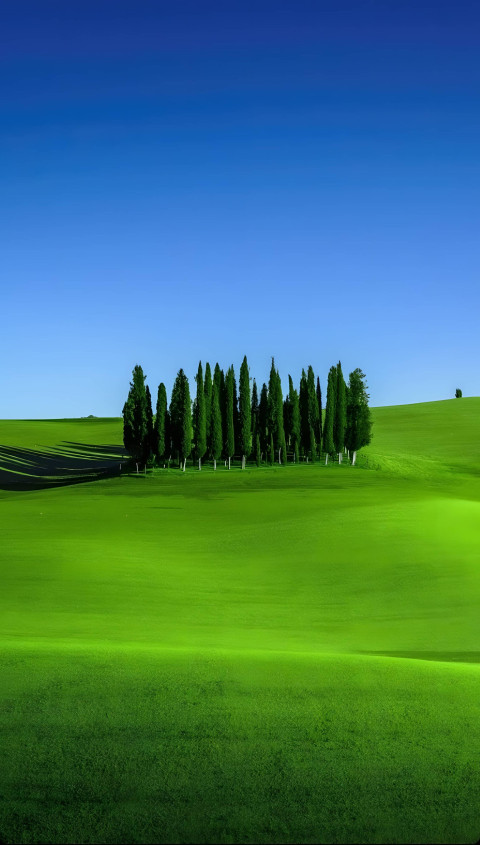 Serene Grassland Scene Mobile Wallpaper