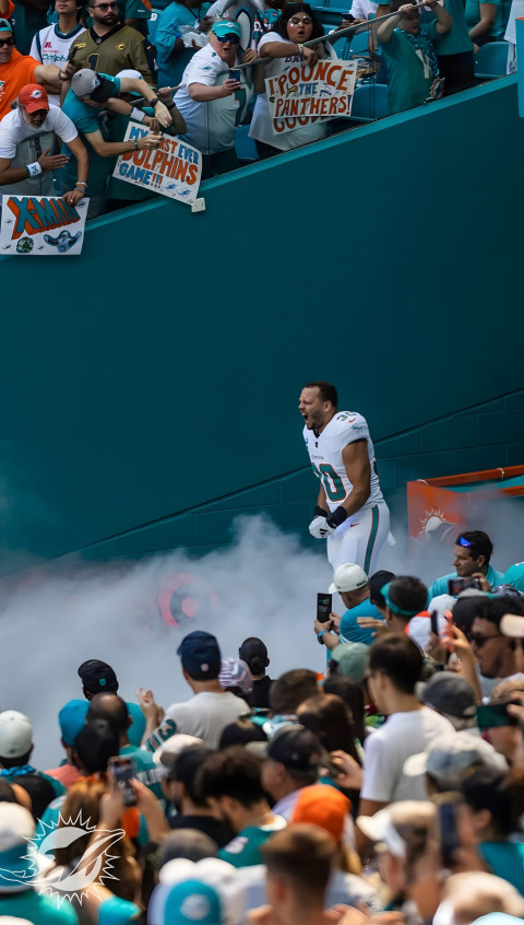 Beautiful Miami Dolphins Photo for Bold Screen