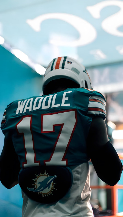 Miami Dolphins Wallpaper to Brighten Your Day