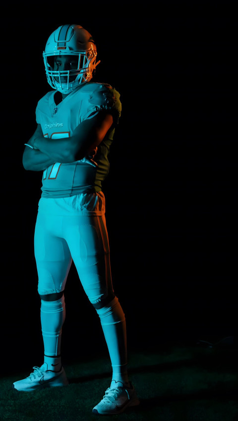 Miami Dolphins Image Collection for Digital Spaces