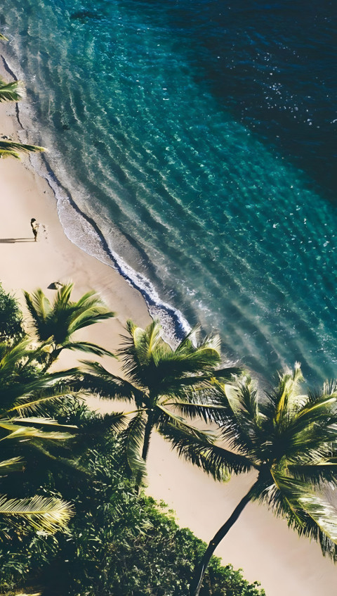 Lush Green Palm Tree Mobile Picture
