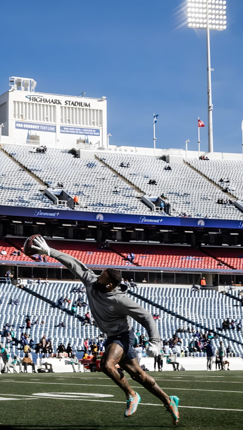 Beautiful Miami Dolphins Image for a Bold Look