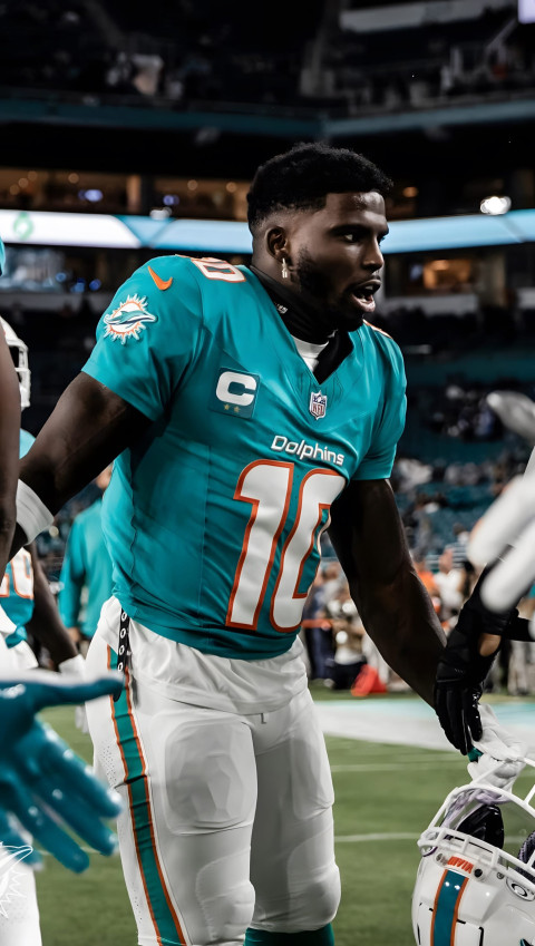 Cool Miami Dolphins Picture for Every Screen