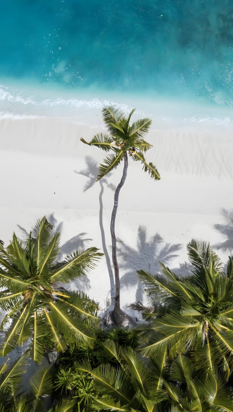 Dreamy Palm Tree Mobile Background