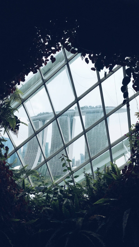 Natural Beauty Botanical  Garden Mobile Wallpaper