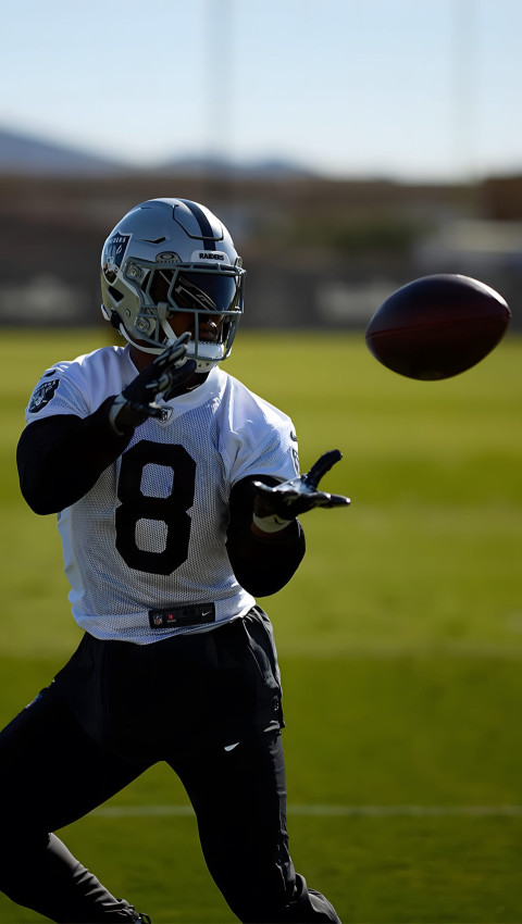 Classic Las Vegas Raiders Playground Image for Fans